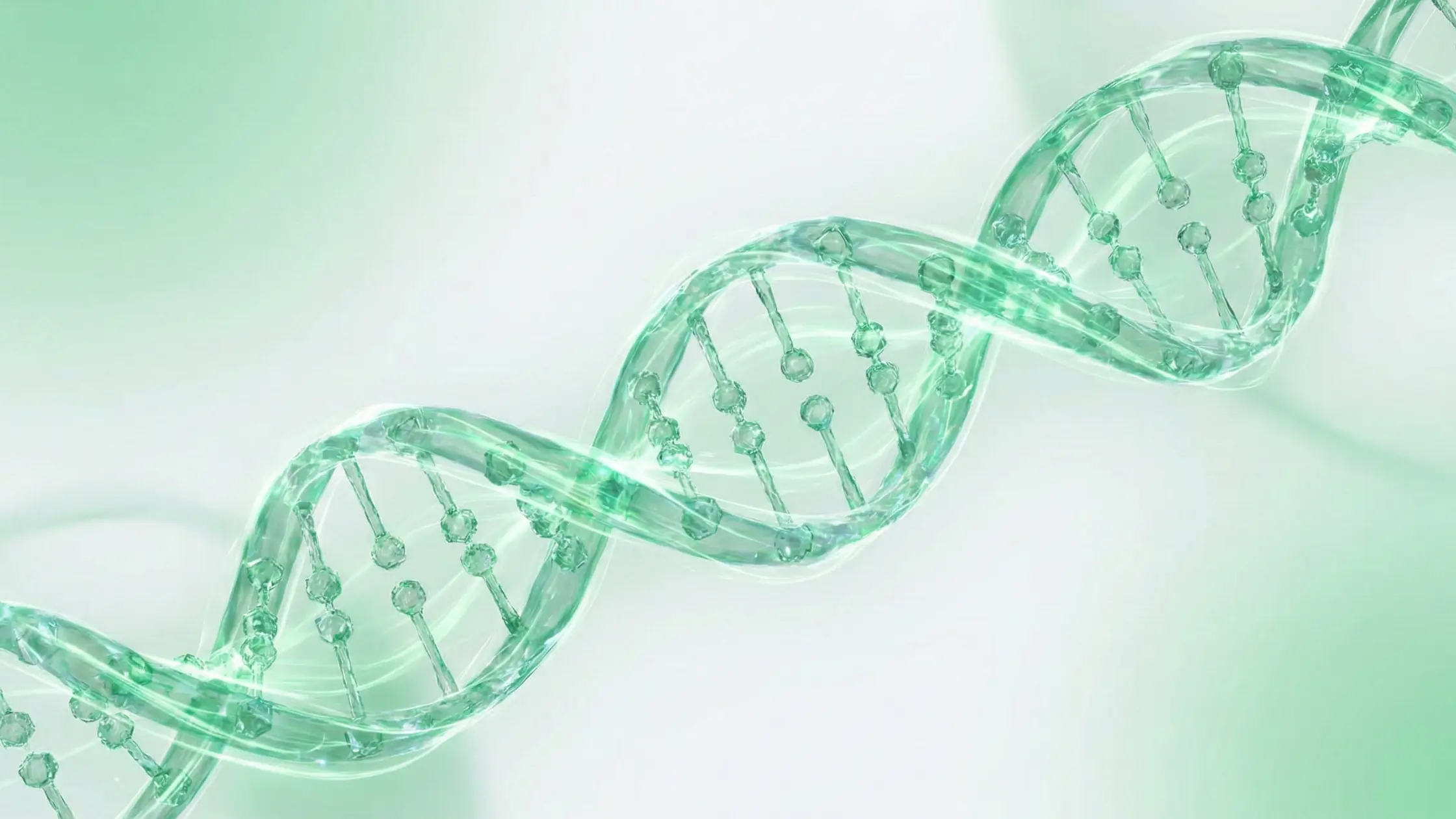 Suplementação Vegana para Síntese de Colágeno: Estratégias Farmacêuticas para Otimização do Pool de Aminoácidos e Cofatores Bioquímicos